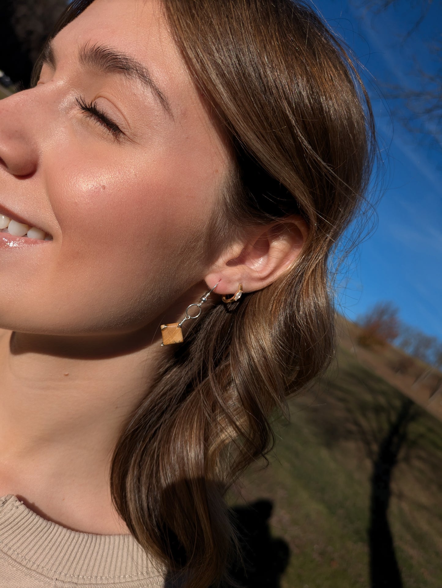 Picture Jasper and Sterling Silver Earrings