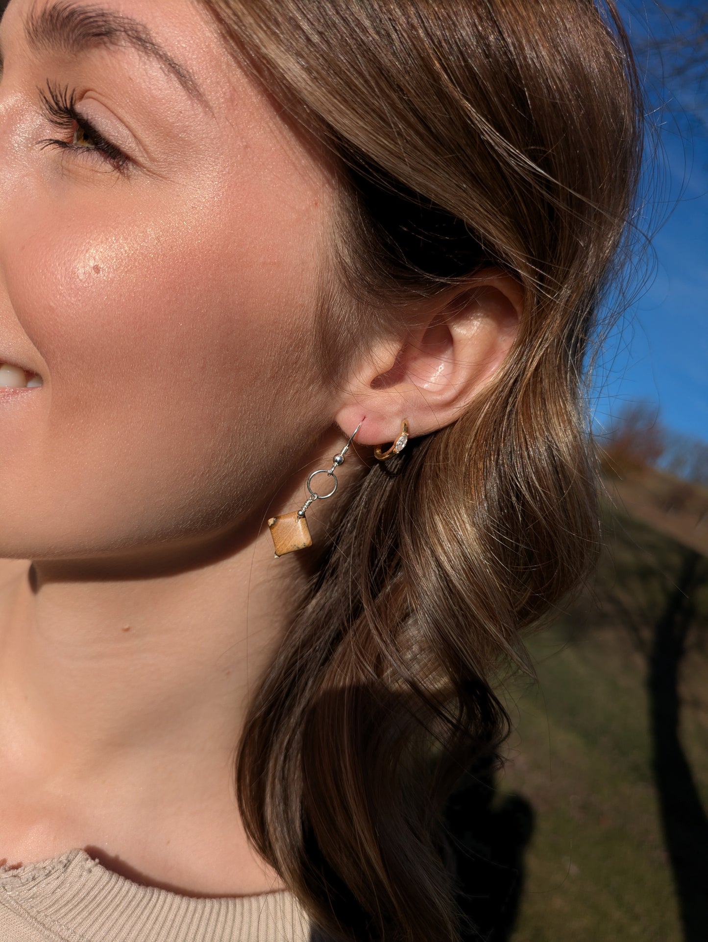 Picture Jasper and Sterling Silver Earrings